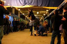 The Royal Agricultural Winter Fair: Celebrating Canada’s Agrarian Heritage